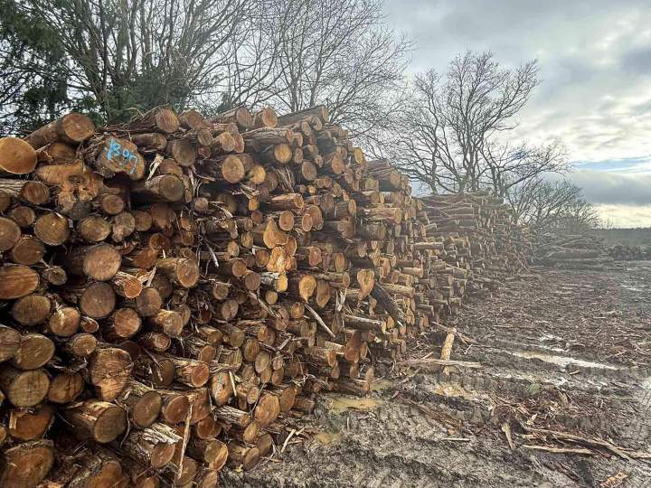 Livreur bois de chauffage Sillé-le-Guillaume