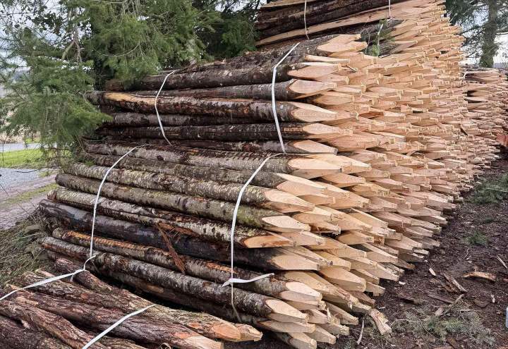 Livraison bois de chauffage Sillé-le-Guillaume